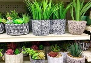 Pottery for Plants: The Ultimate Guide to Stylish and Functional Containers (2024)