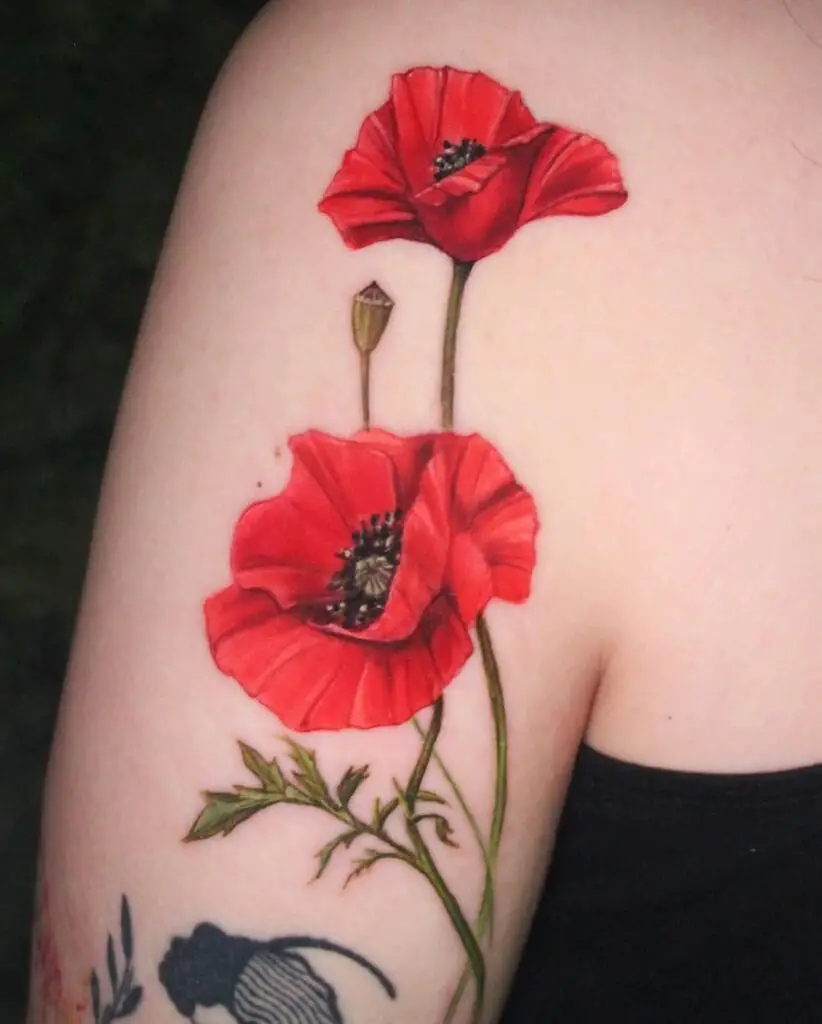 A poppy tattoo represents remembrance, peace, and eternal sleep, often commemorating lost loved ones or symbolizing beauty and tranquility.