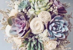 Succulent Bouquets: A Guide to Creating Stunning, Long-Lasting Arrangements (2024)