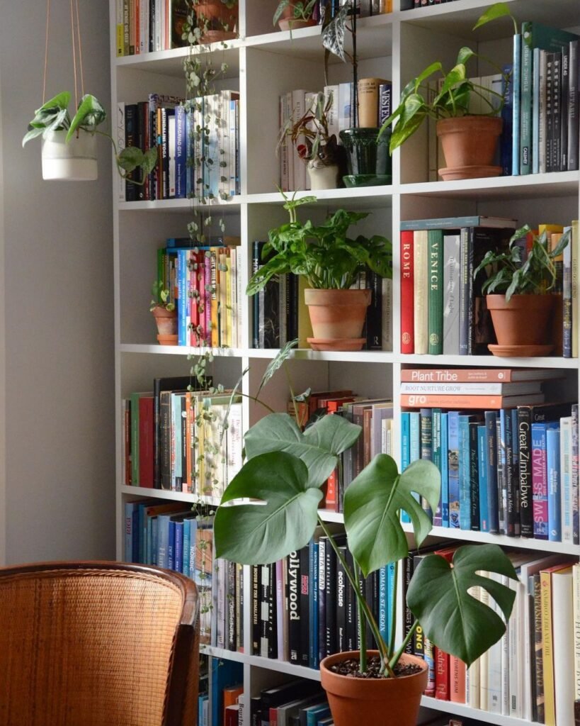 A bookshelf vertical garden is a vertical planting system that uses a repurposed bookshelf to grow plants, herbs, or flowers in limited spaces.