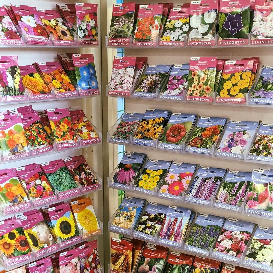 A vibrant display of winter flower seeds, showcasing an array of colorful flowers and plants in a store setting.