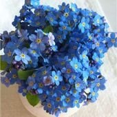 Forget-Me-Not bouquets are ideal for occasions such as memorials, anniversaries, and heartfelt gestures, symbolizing remembrance and enduring affection.