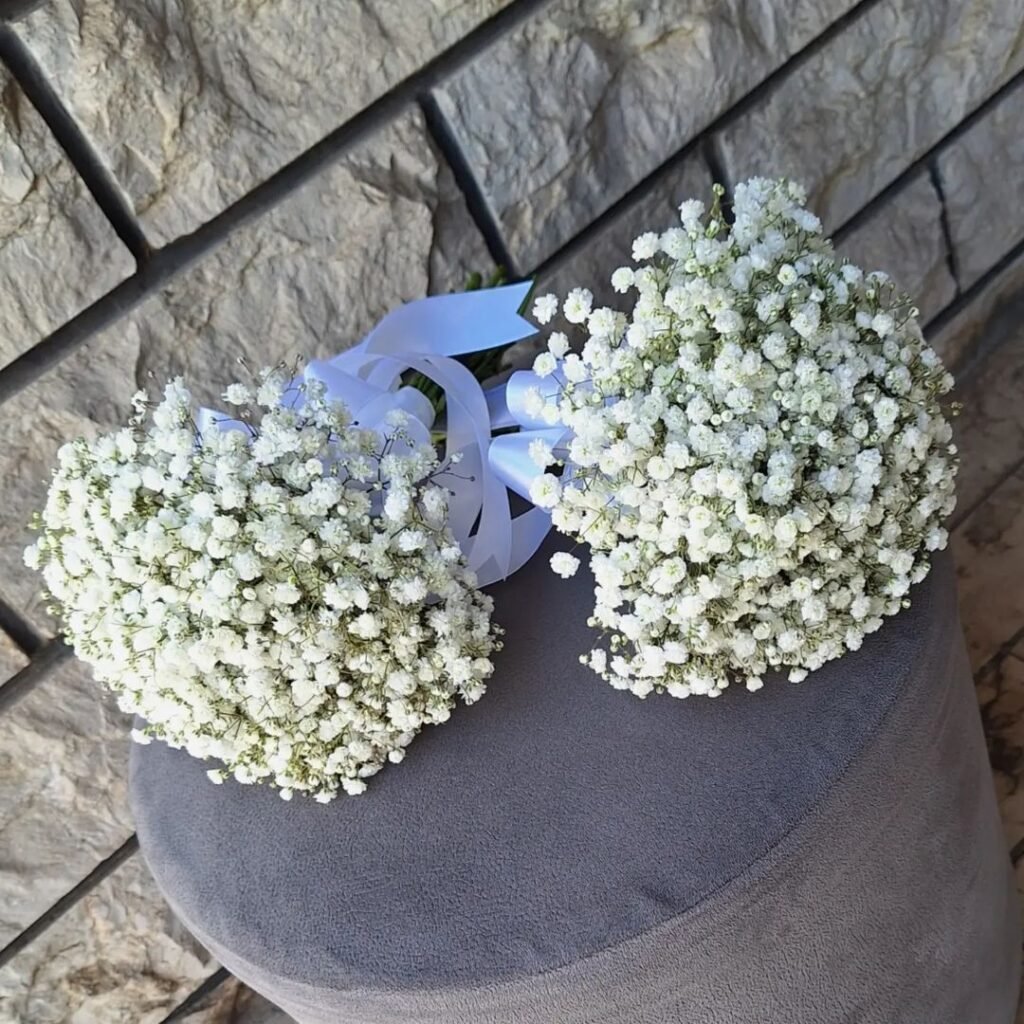 Gypsophila, commonly known as baby's breath, is a delicate flowering plant with small, white or pink blooms, often used as a filler in floral arrangements and for adding a soft, airy texture to gardens.