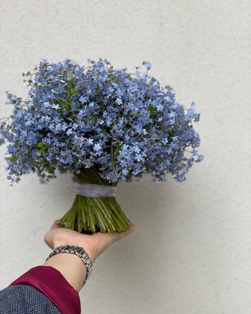 Forget-Me-Not bouquets are charming arrangements featuring clusters of tiny blue flowers with yellow centers, symbolizing remembrance and love, often used for sentimental occasions.