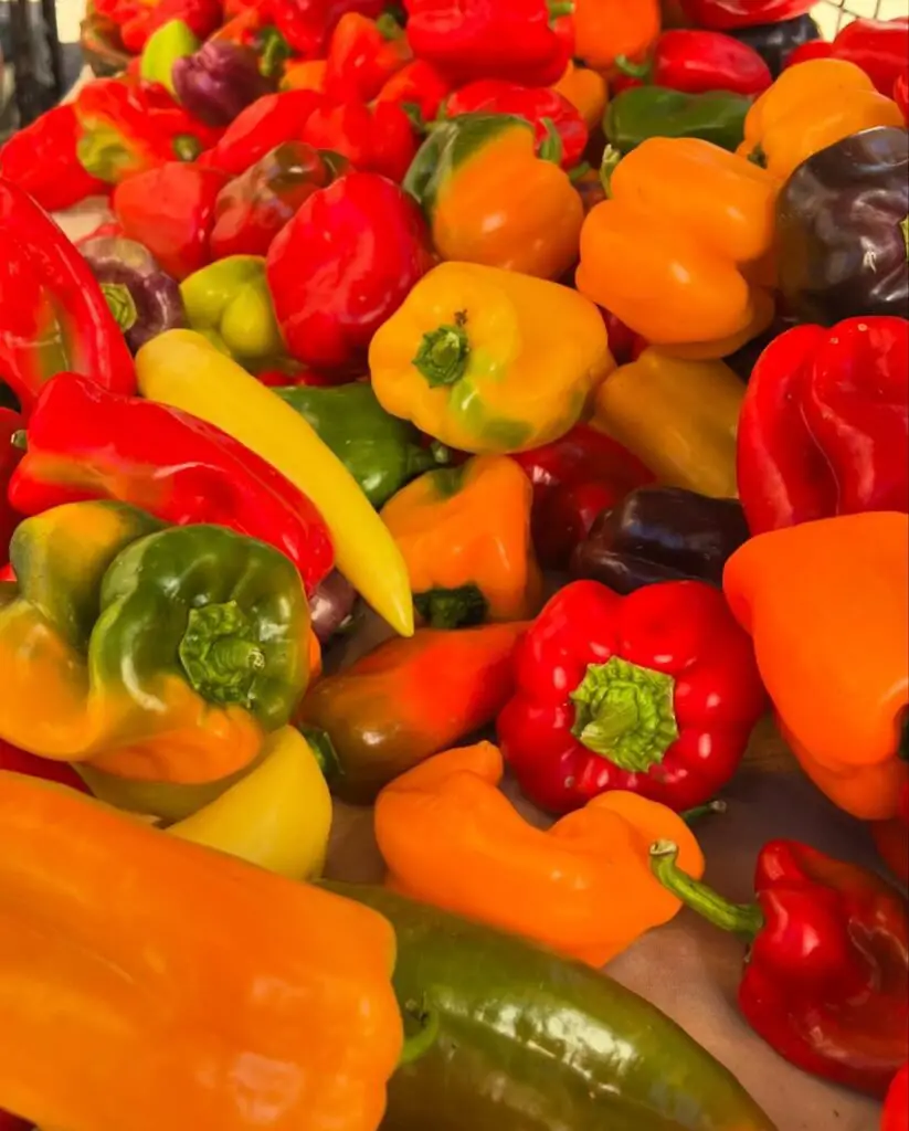 Peppers are warm-season plants known for their vibrant colors and varying heat levels, thriving in full sun and well-draining soil.