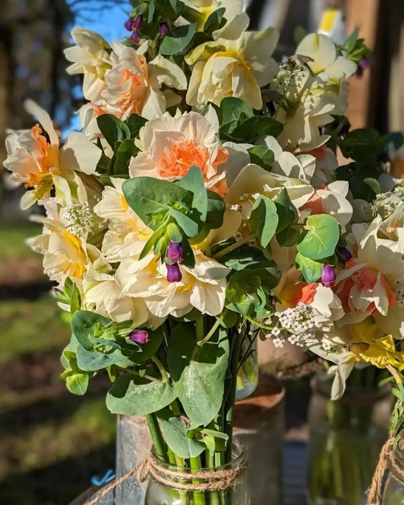 Daffodil bouquets