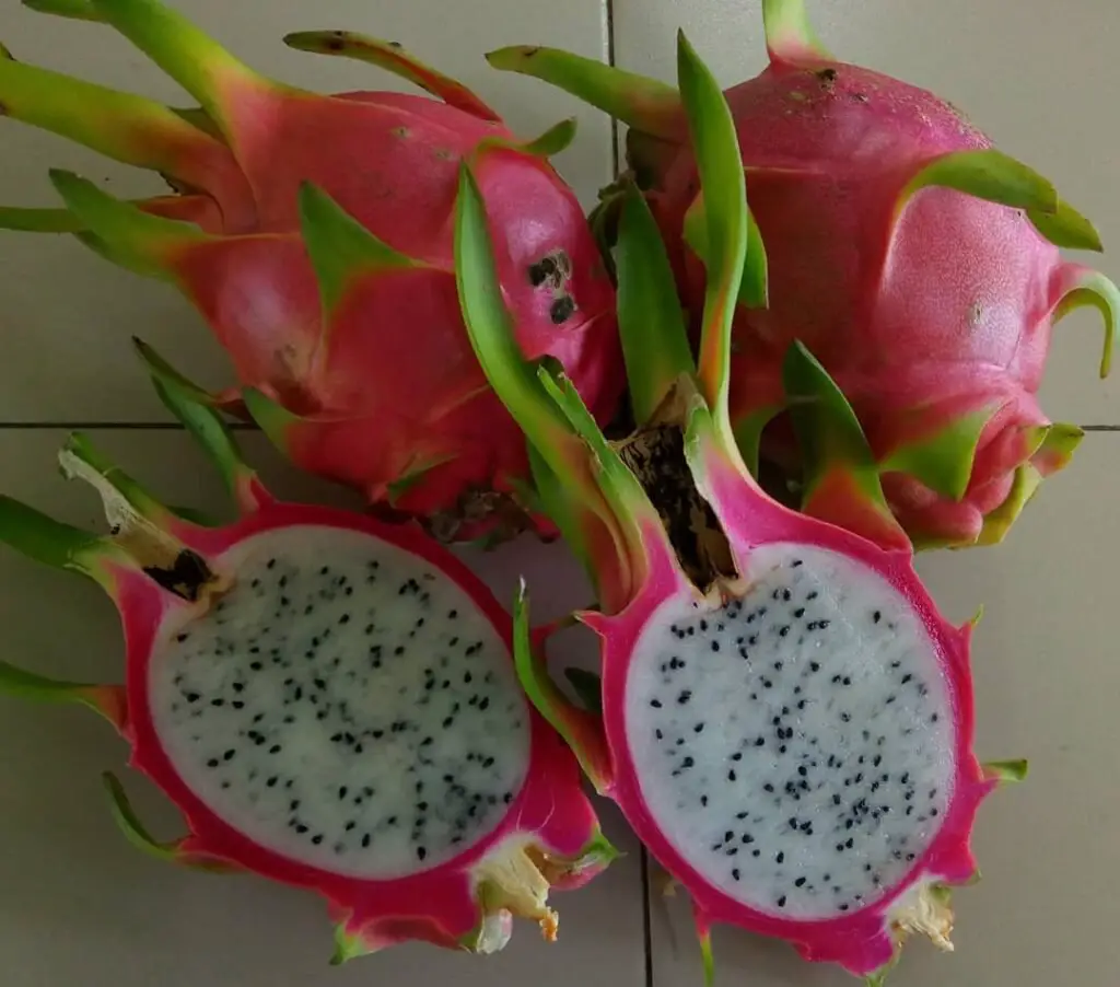 White dragon fruit (*Hylocereus undatus*) is a tropical fruit with a vibrant pink skin and white, mildly sweet flesh speckled with small black seeds, known for its striking appearance and health benefits.