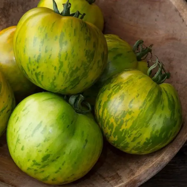 Green Zebra is a unique heirloom tomato variety known for its small to medium-sized, striped green fruits with a tangy, sweet flavor, thriving in full sun and well-draining soil.