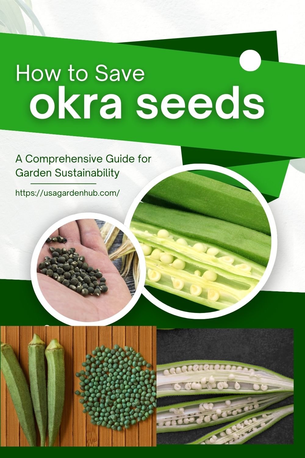 How to Save Okra Seeds : A Comprehensive Guide for Garden Sustainability