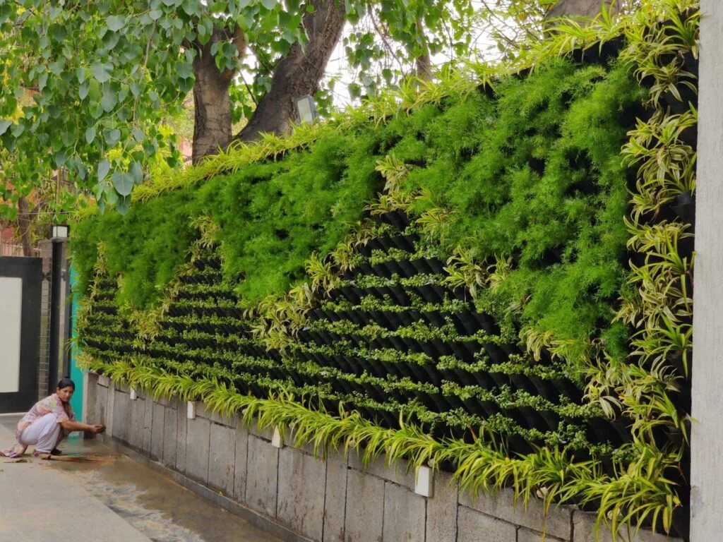 Lush Vertical Garden