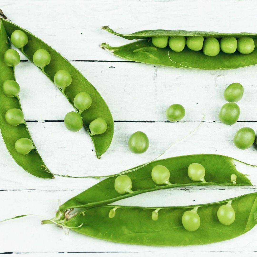  Fresh green peas in their pods arranged on a rustic white wooden table, showcasing their vibrant color and natural texture.