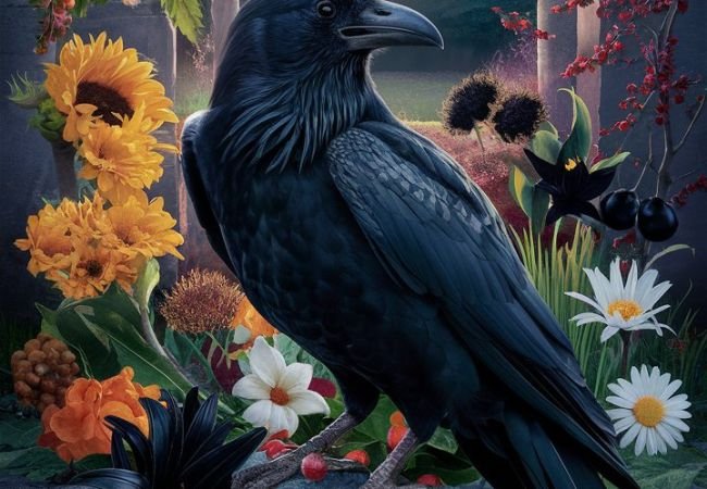 Ravens and Flowers : A Fascinating Natural and Cultural Connection (2024 Exploration)