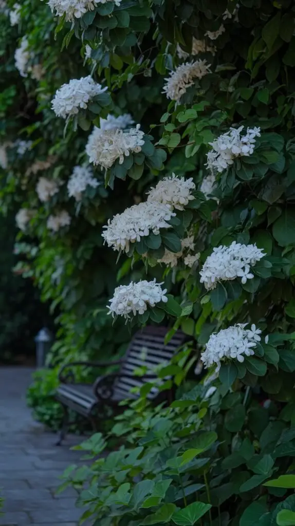 A serene nighttime garden scene showcasing Night Blooming Jasmine in full bloom. The flowers should be illuminated by soft moonlight, highlighting their delicate white petals against lush green foliage. Include a small garden bench or pathway to create a cozy atmosphere.

Text Overlay:

Title: "Discover Night Blooming Jasmine"