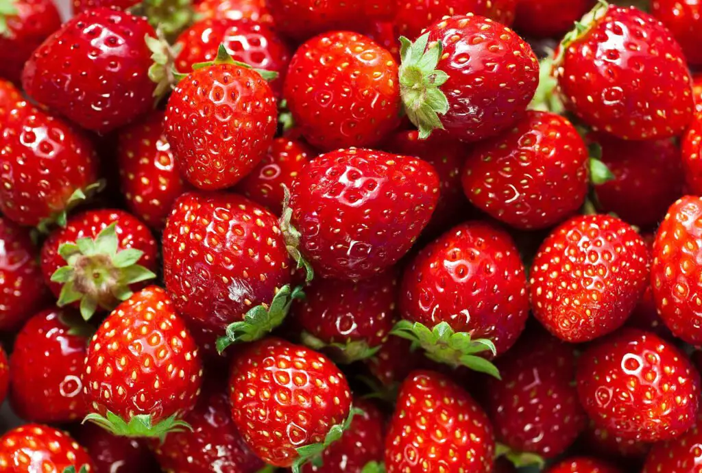 Strawberries are sweet, juicy fruits that grow in well-draining soil with full sun, thriving in cool, temperate climates and producing small, fragrant berries ideal for fresh eating or desserts.