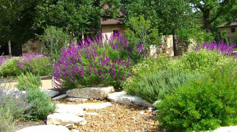 Butterfly and Hummingbird Garden