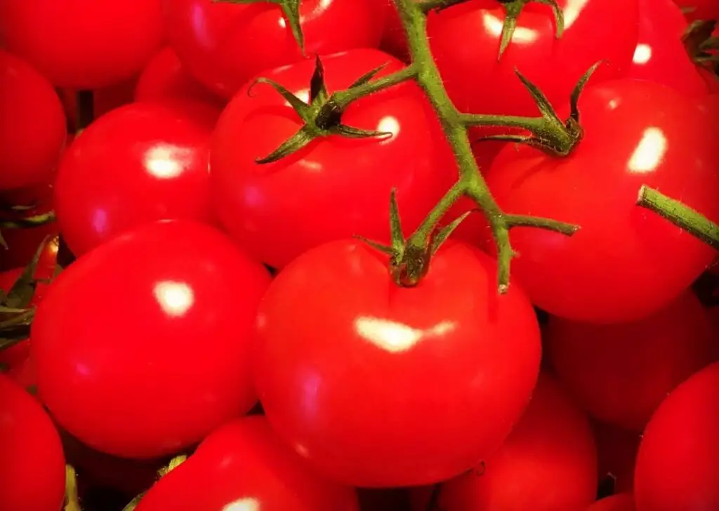 Tomatoes are versatile, warm-season plants known for their juicy, flavorful fruit, thriving in full sun, well-draining soil, and regular watering.