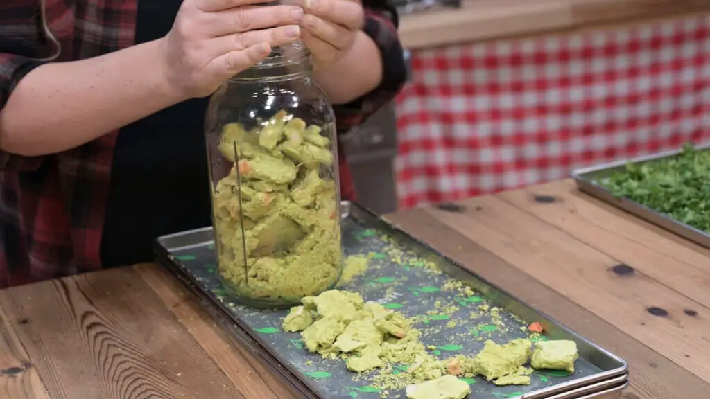 Freeze-Dried Guacamole