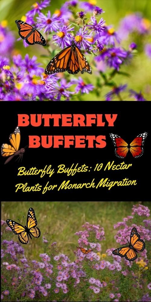 Butterfly Buffets: 10 Nectar Plants for Monarch Migration