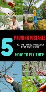 5 Pruning Errors That Are Turning Your Garden Into a Disaster Zone