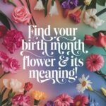 Elegant floral-themed design showcasing a variety of vibrant birth month flowers arranged in a circular pattern by month. Include roses, lilies, carnations, and daisies. Add soft pastel gradients in the background. Use text overlay with 'Find Your Birth Month Flower & Its Meaning!' in a whimsical, elegant font style.