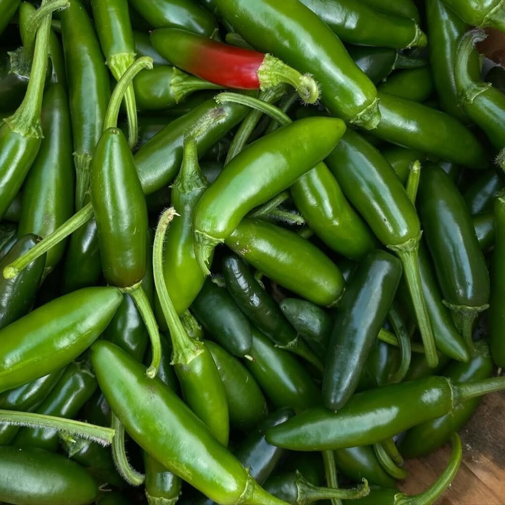 Serrano Peppers