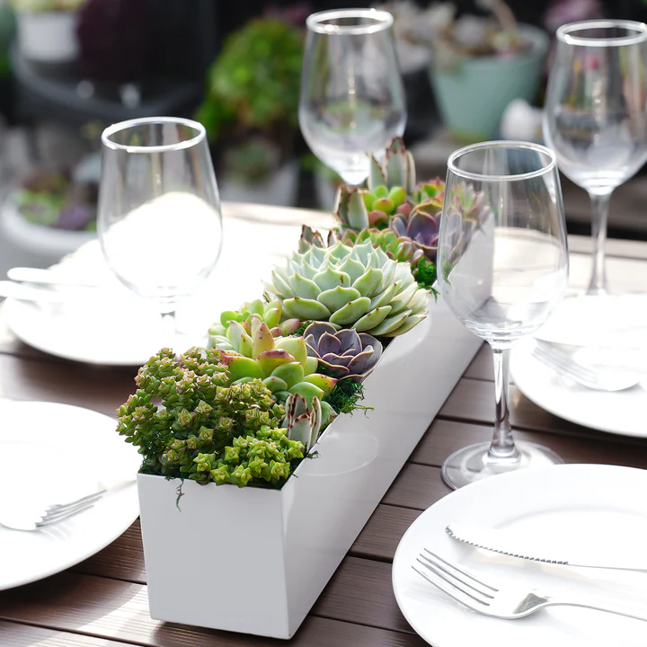 Succulent Centerpieces for Dining Tables