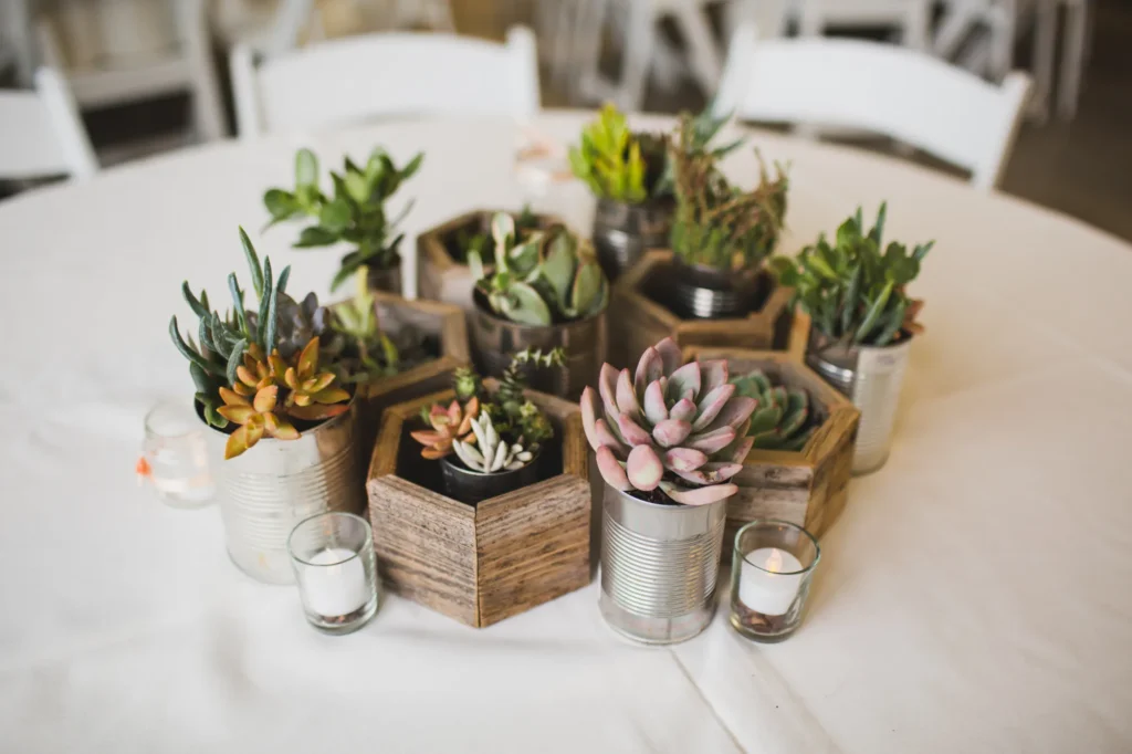 Succulent Centerpieces for Weddings