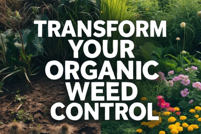 Effective Organic Weed Control Methods for Your Garden