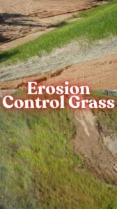 Erosion Control Grass Protect Your Slopes with the Right Plants