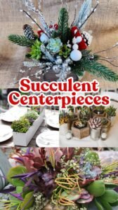 Succulent Centerpieces