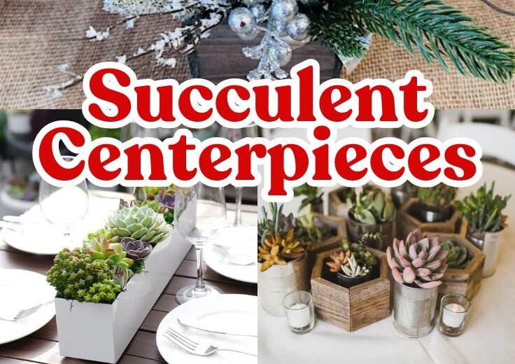 Succulent Centerpieces