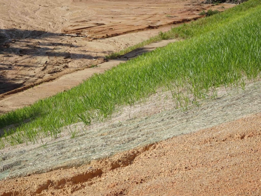 Erosion Control Grass