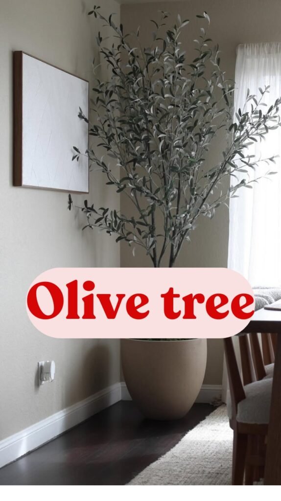 olive tree