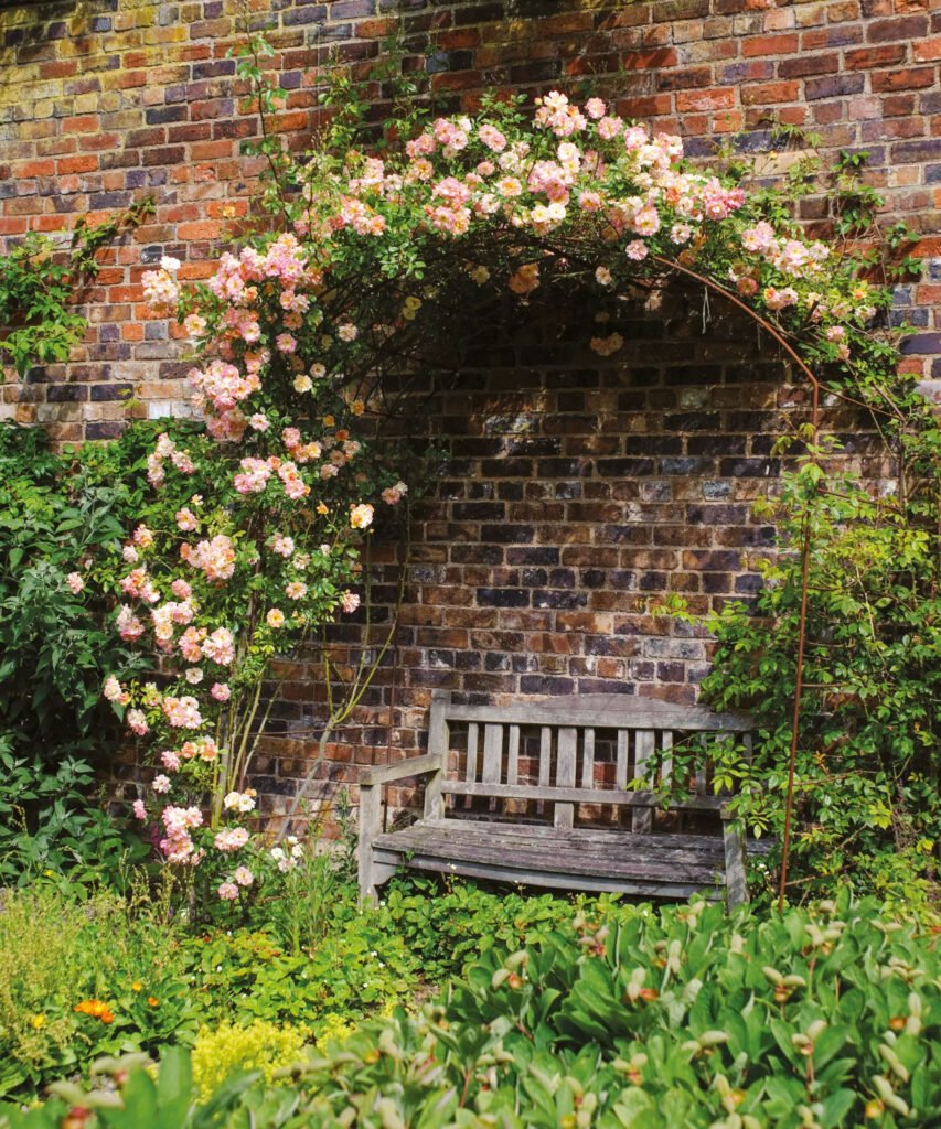 Arches for Climbing Plants