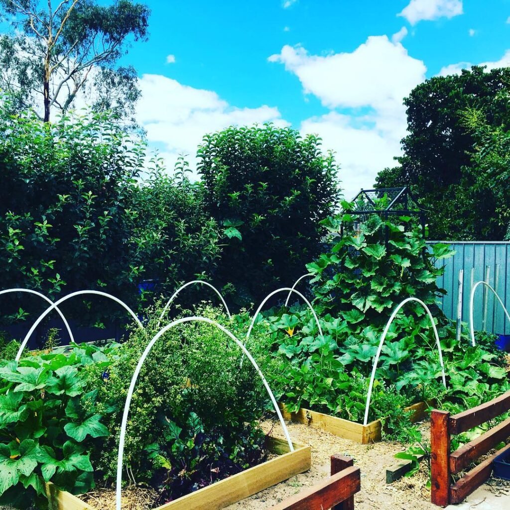 PVC Pipe Arch