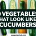 10 vegetables that look like cucumbers