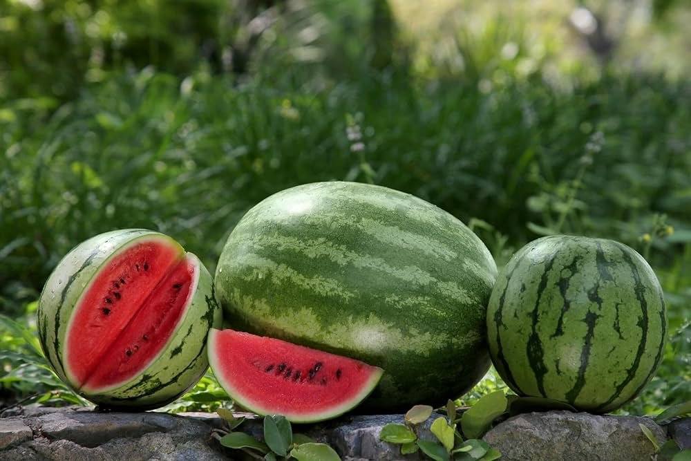 Sweetest Watermelon Variety: Crimson Sweet & More 8 Hime Kansen watermelon Sweetest Watermelon Varieties