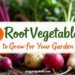 15 Root Vegetables to Grow in Your Garden 23 15 Root Vegetables to Grow in Your Garden