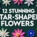 12 Stunning Star Shaped Flowers for Your Garden 19 12 Stunning Star Shaped Flowers for Your Garden