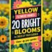Yellow Flowers Names: 20 Bright Blooms to Cheer Up Your Garden 4 Yellow Flowers Names: 20 Bright Blooms to Cheer Up Your Garden