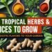 Design a bright, high-contrast Pinterest pin for the blog post titled “15 Tropical Herbs and Spices to Grow in Your Garden.” Design details: Layout: Vertical (1000×1500 px), clean and optimized for mobile viewing. Headline: Bold uppercase text — “15 TROPICAL HERBS & SPICES TO GROW.” Add a smaller subline: “Bring Exotic Flavors to Your Garden.” Font style: Modern sans-serif with thick strokes for the main title; lighter font for the subline. Background: Flat-lay or collage of tropical herbs and spices — ginger, turmeric, lemongrass, basil, cardamom, and chili peppers. Color scheme: Vibrant greens, deep reds, and earthy yellows to evoke warmth and freshness. Overlay: Slight transparent beige or dark green gradient for text clarity. Accent element: Small herb leaf or spice pod graphic beside the headline. Branding: “usagardenhub.com” placed subtly at the bottom. Mood: Warm, lush, and flavorful — meant to inspire home gardeners to grow tropical plants.