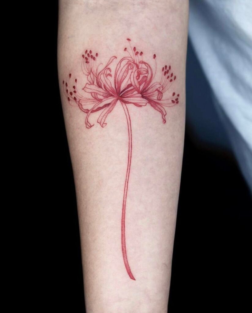 Spider Lily Tattoo