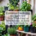 Container Gardening for Beginners: Grow Fresh Food on Your Balcony or Patio – Renter-Friendly Tips 3 Container Gardening for Beginners