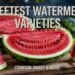 Sweetest Watermelon Variety: Crimson Sweet & More
