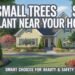 16 Small Trees Safe to Plant Near Your House 5 16 Small Trees Safe to Plant Near Your House