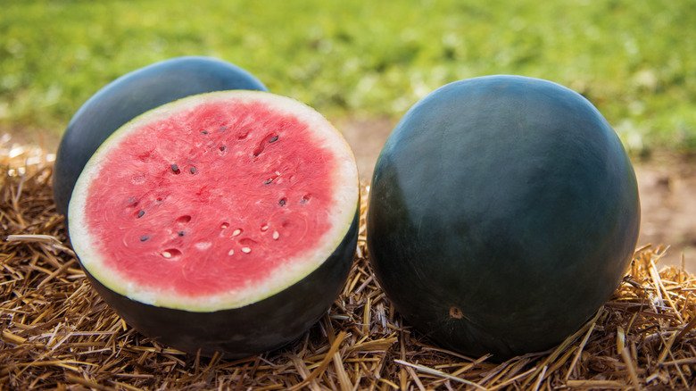 Sweetest Watermelon Variety: Crimson Sweet & More 5 A rare Japanese black watermelon with jet-black rind and ruby-red flesh that's ultra-sweet and firm. Sweetest Watermelon Varieties