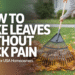 How to Rake Leaves Without Back Pain in the USA