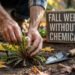 Fall Weeding Without Chemicals: Effective Natural Methods for Your Garden