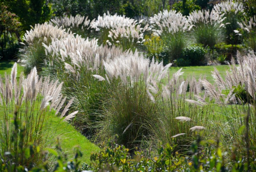 Form Informal Hedges or Accents