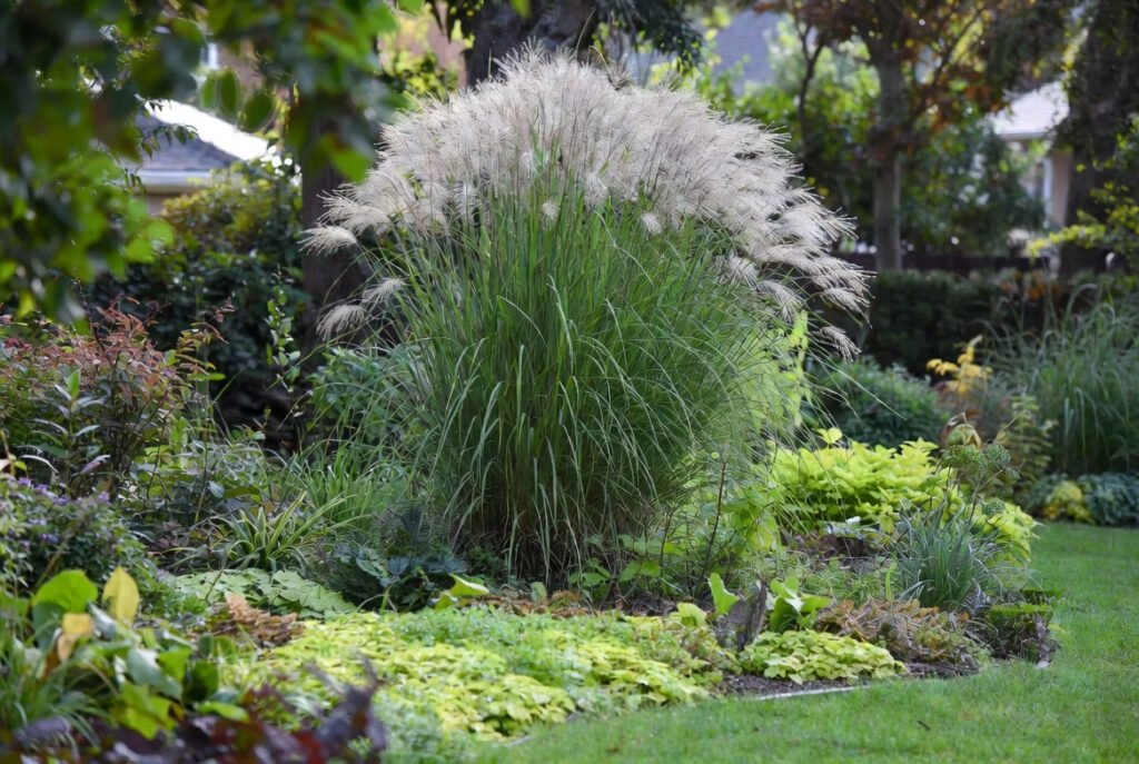 Plant as Focal Points in Large Beds